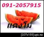 โทร.091-2057915แตงโม////บริการเงินสดผ่อนจ่ายรายเดือน***วงเงินคนละ10.000-650.000 ทุกอาชีพสามารถกู้ได้ทุกอาชีพ ไม่ว่าจะเป็นพ่อค้าแม่ค้า รับราชการ พนักงานเอกชน ทำงานอิสระ หรือทำธุรกิจ เราก็ยินดี